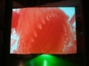 invisible-landscape (5)