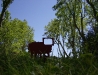 transhumance (07)